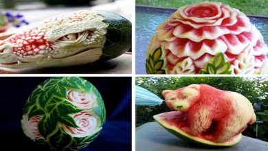 Fruit carving, watermelon carved, vegetable carving, sculture vegetali, intaglio frutta, pumpkin carving, amazing, Carving, Watermelon (Ingredient), carved, fruit carved, dragon, snake, FoodArt, CreativeIdeas, Creative Cooking, Artistic Cooking, Amazing Art, Kitchen Art, How To, Thai, Fruit, Art, Simple, Easy, Lesson, Beginners, Step By Step, Beautiful, Christmas, Flower, Teach, Training, Style, Decorating, Techniques, Tips, Fruit Carving, Learn, The Best, แกะสลักผลไม้, CUT A WATERMELON;