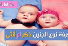 كيف تعرف نوع الجنين أثناء الحمل بدون سونار