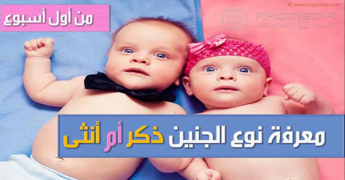 كيف تعرف نوع الجنين أثناء الحمل بدون سونار