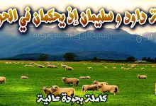 قصة تحكيم داود في قضية الخصمين