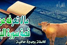 قصة البقرة المذكورة في القرآن في سورة البقرة