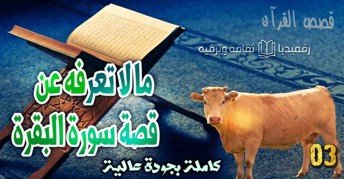 قصة البقرة المذكورة في القرآن في سورة البقرة