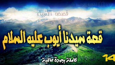 قصص الأنبياء 14: قصة سيدنا أيوب عليه السلام