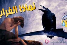 لماذا-اختار-الله-الغراب