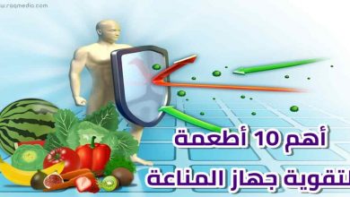 أهم-10-أطعمة-لتقوية-جهاز-المناعة