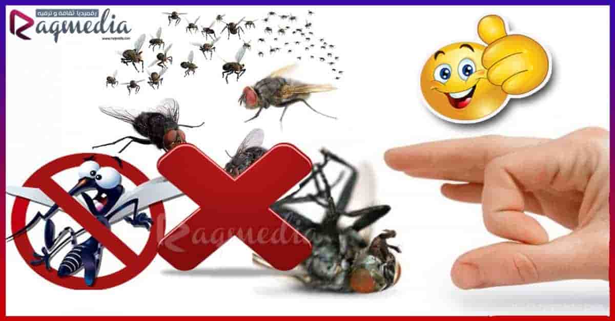 أسهل-طريقة-لطرد-الذباب-والناموس-من-المنزل