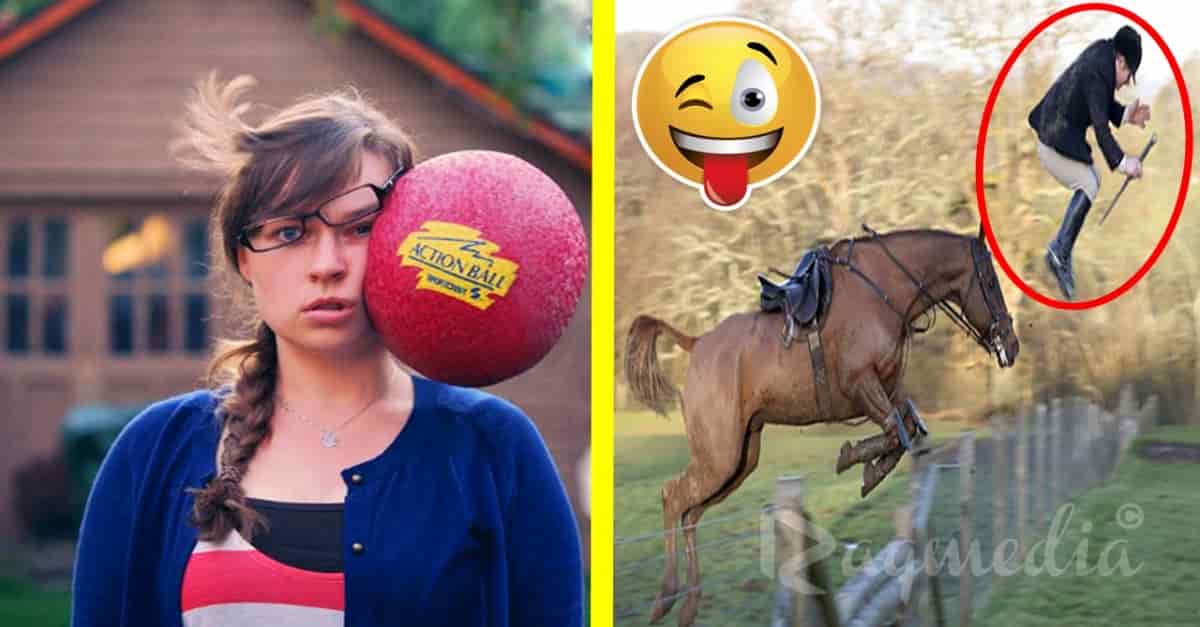 hilarious-photos