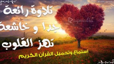 تلاوة-رائعة-جدا-وهادئة-تنسيك-الدنيا