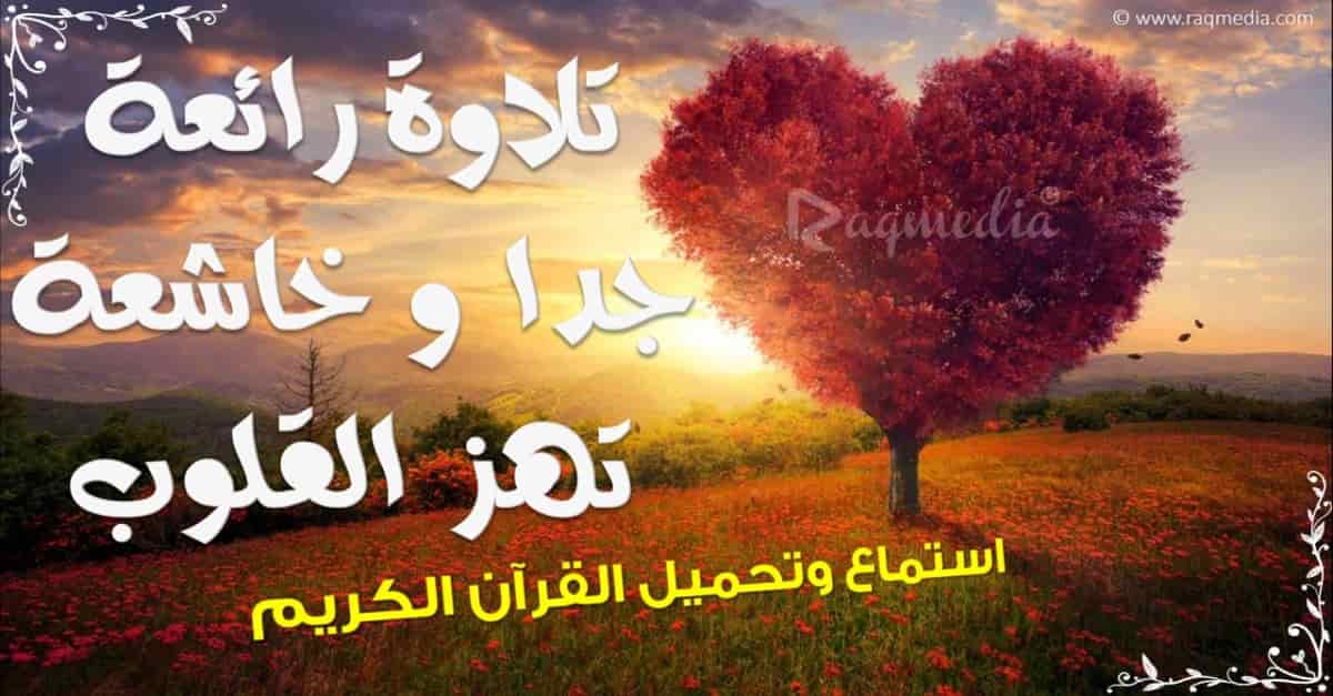 تلاوة-رائعة-جدا-وهادئة-تنسيك-الدنيا