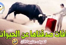 خرافات-صدقناها-عن-الحيوانات