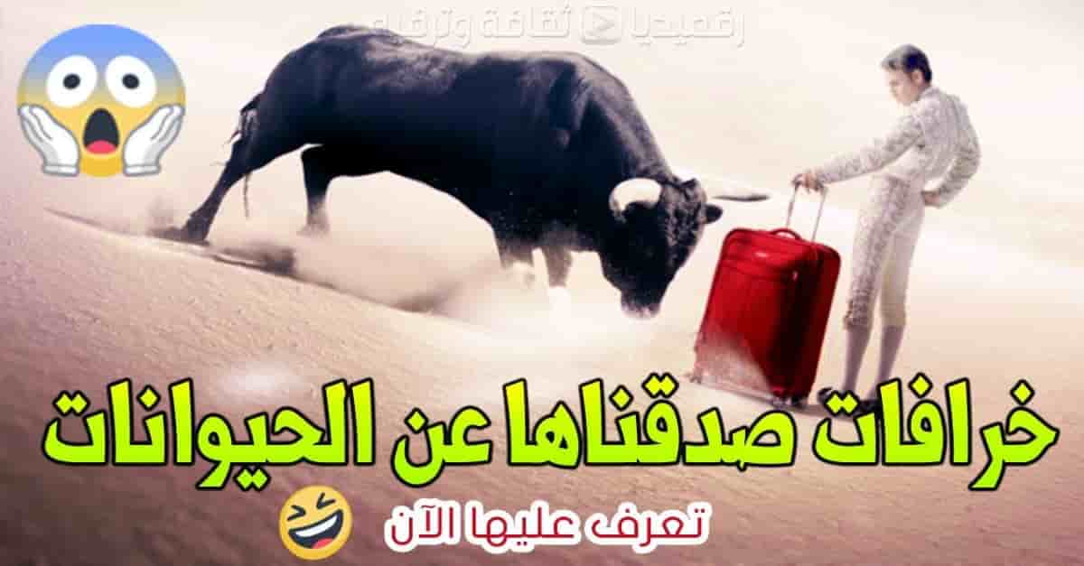 خرافات-صدقناها-عن-الحيوانات