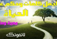 أروع-الحكم-المؤثرة