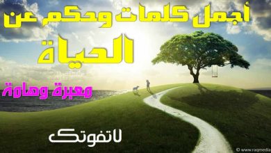 أروع-الحكم-المؤثرة