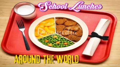 What School Lunch Looks Like Around The World