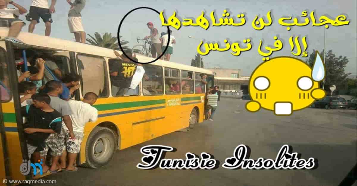 عجائب لن تشاهدها إلا في تونس