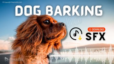 Dog Barking Sounds To Make Your Dog Bark Loud HD SFX dog-barking-sound-effects-free