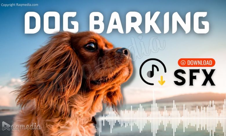 Dog Barking Sounds To Make Your Dog Bark Loud HD SFX dog-barking-sound-effects-free
