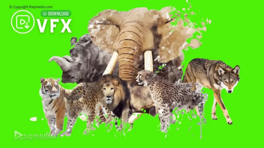wild-animals-green-screen-backgrounds-free-chroma-key